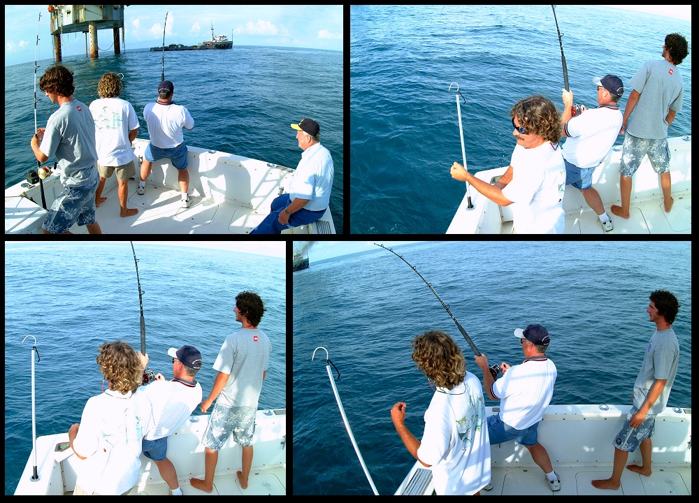 (13) montage (rig fishing).jpg   (1000x720)   398 Kb                                    Click to display next picture